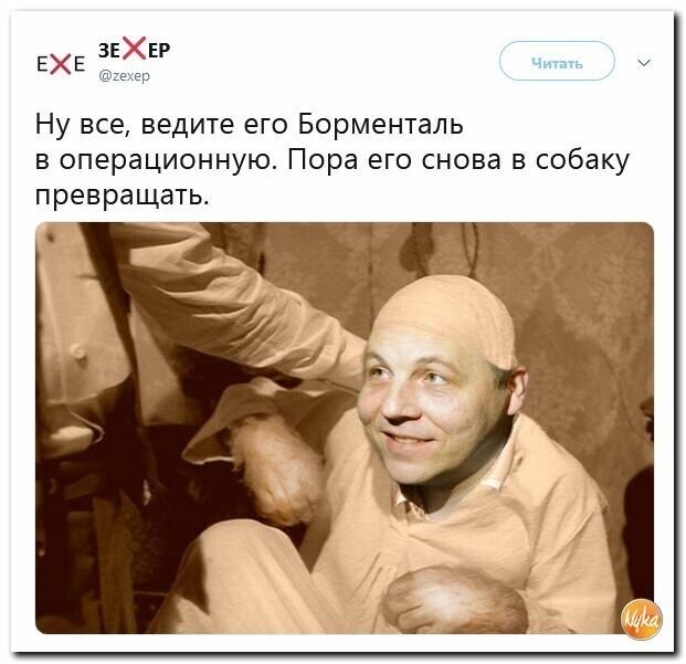 Политические картинки