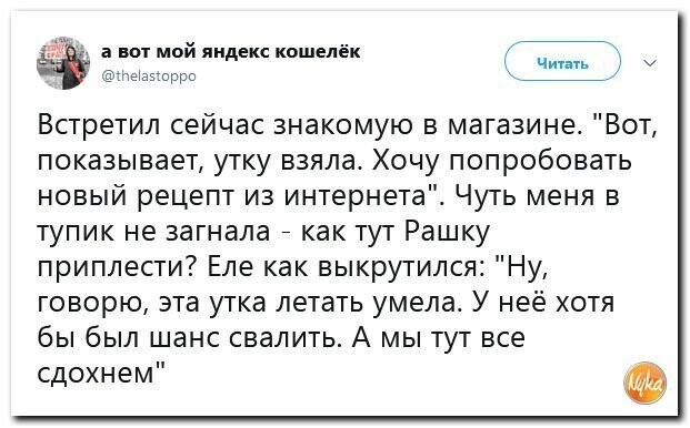 Политические картинки