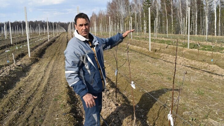 В Клетнянском районе Брянской области расширяется яблоневый сад