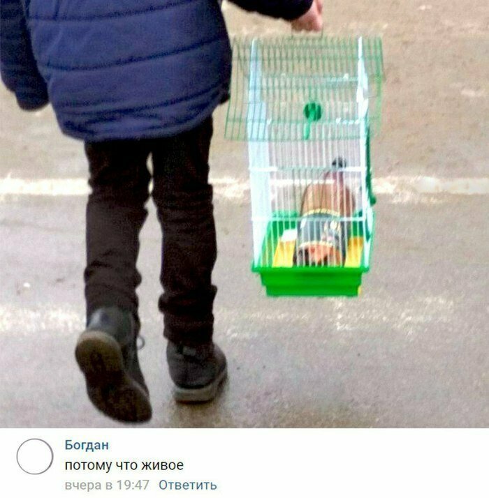 Столько всего необъяснимого