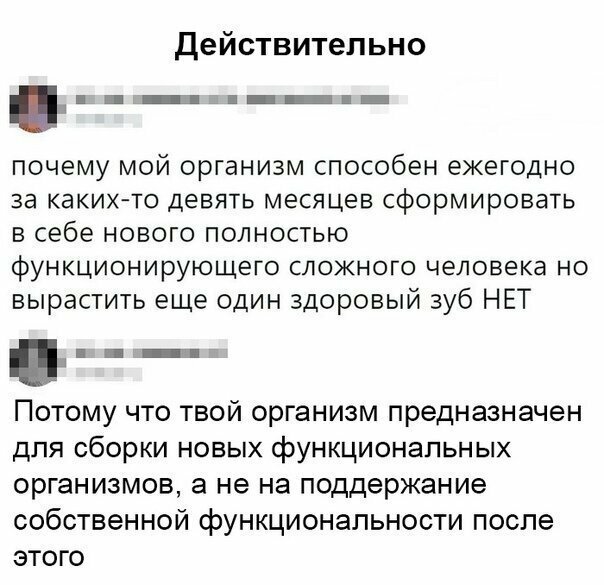 Прикольные и смешные картинки