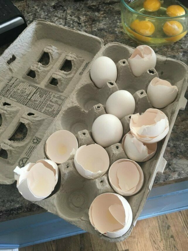 17. "Жена оставляет скорлупу от яиц в упаковке вместо того, чтобы выбросить"