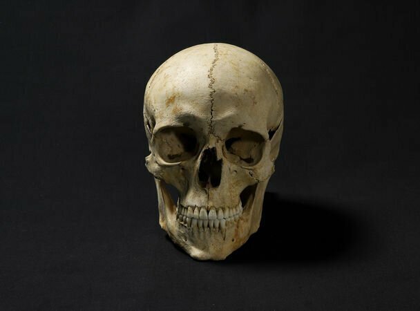 На основе 3D-модели его черепа было реконструировано его лицо
