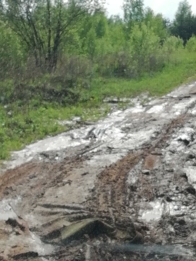 Инновационный метод: в Калужской области дорогу "починили" с помощью ковров