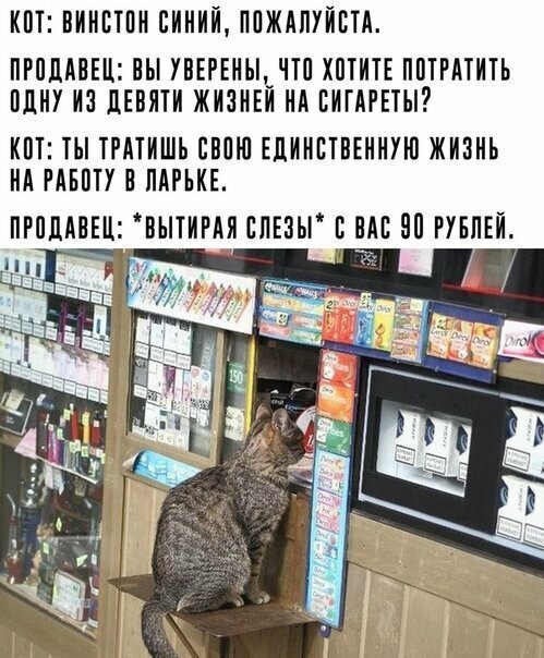 Прикольные и смешные картинки