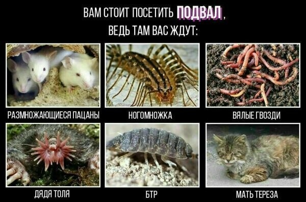 Картинки с надписями