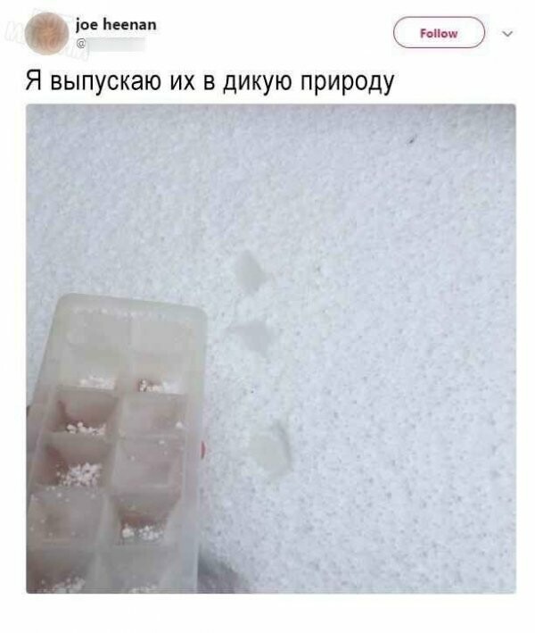 Картинки с надписями
