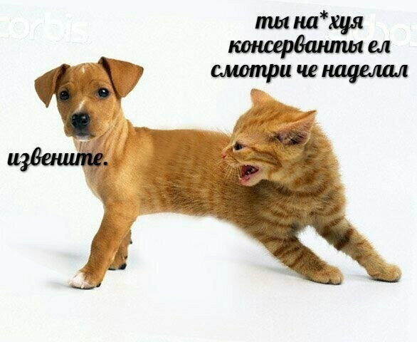 Картинки с надписями