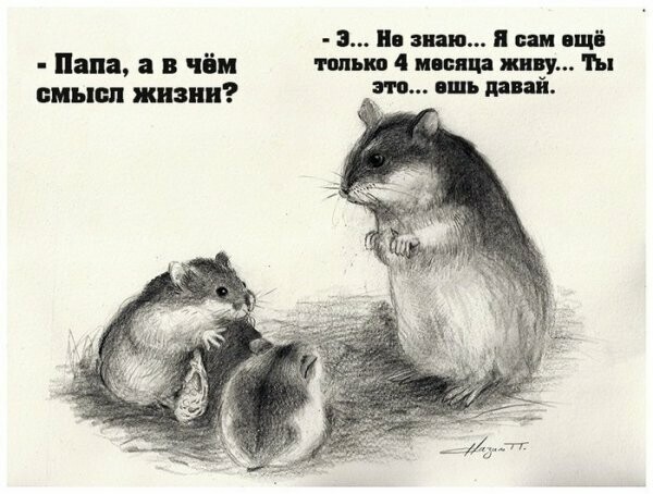 Картинки с надписями