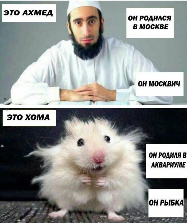 Картинки с надписями