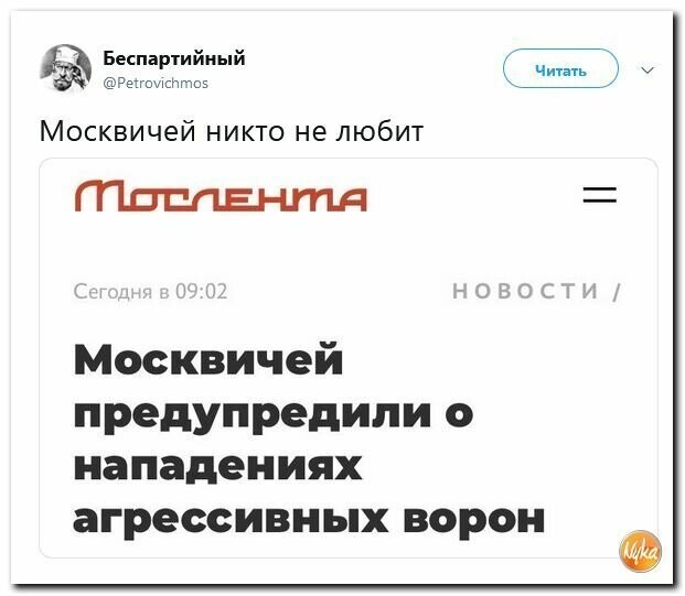 Политические картинки