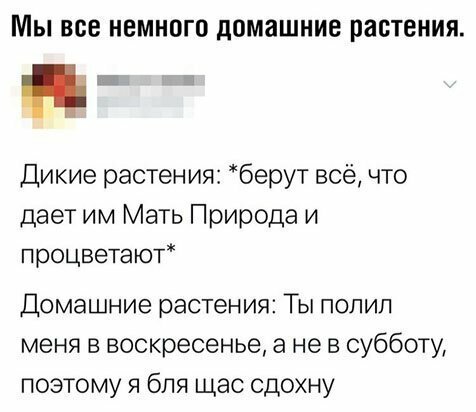 Прикольные и смешные картинки