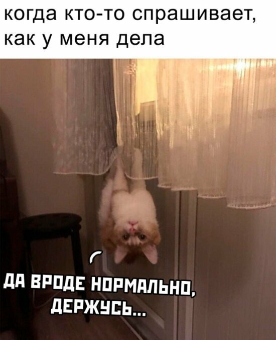 Намешалось