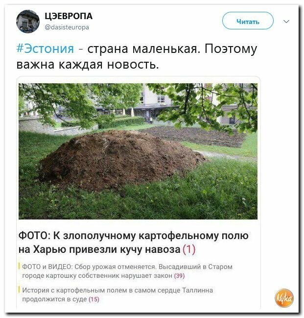 Политические картинки