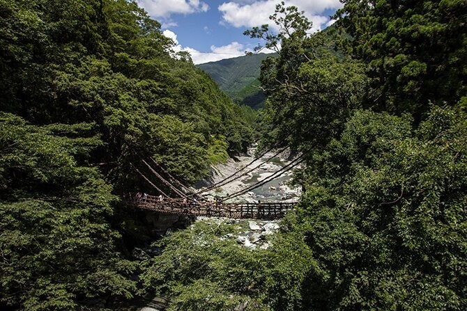 Япония. Сикоку. Плетёный мост в долине Ия.