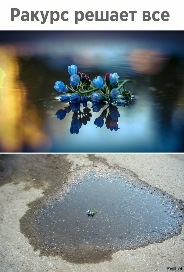 Солянка от 26.05.2019