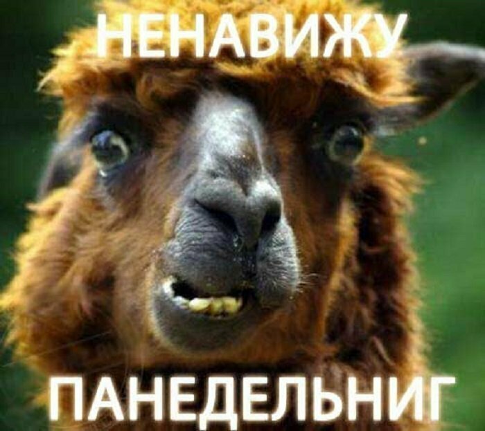 Мысль утра понедельника