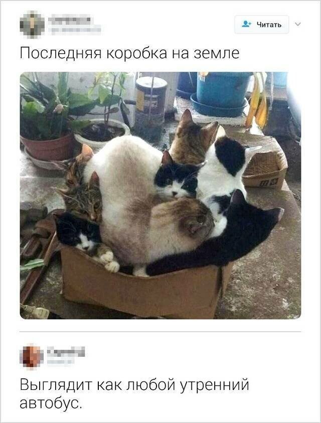 Намешалось