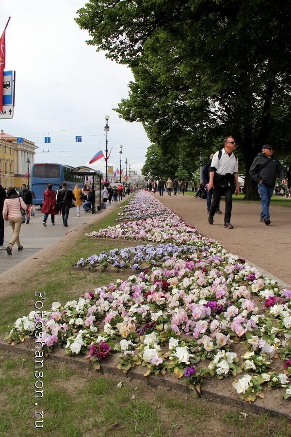 Бродя по Санкт-Петербургу в день рождения