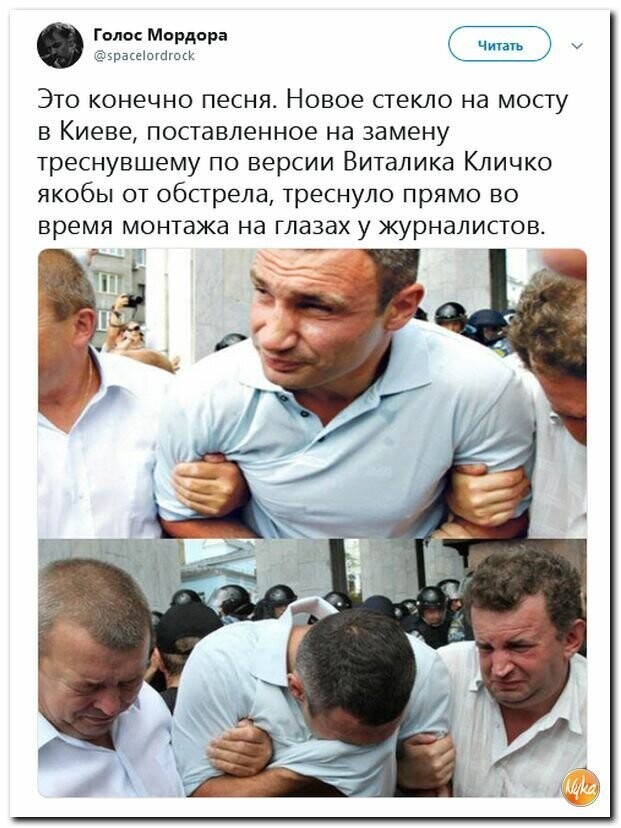 Политические картинки