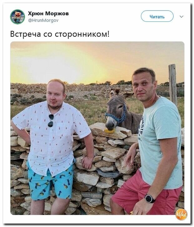 Политические картинки