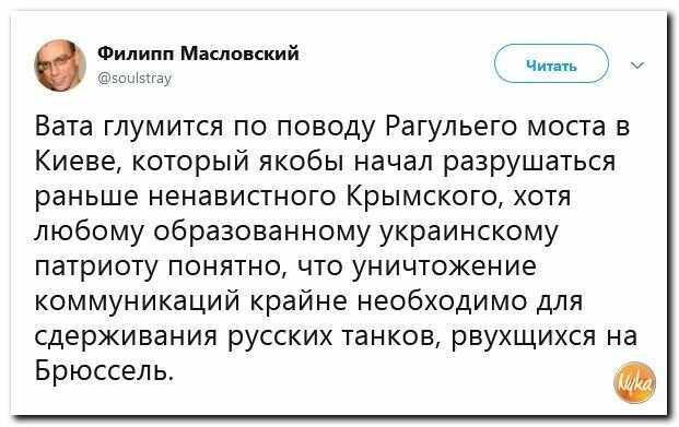 Политические картинки