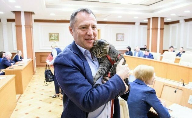 Депутат пришел на заседание Заксобрания с котом