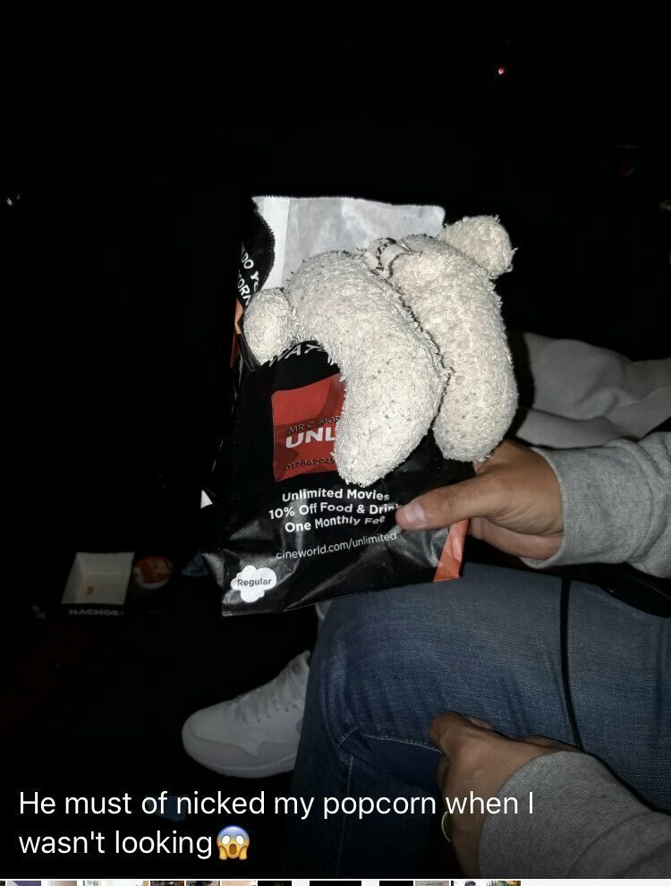  Затем медведь отправился в кино и даже влез в чужой попкорн