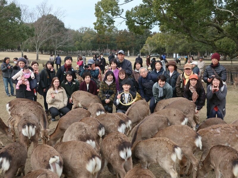 В Японии нашли тело оленя с 3 кг пластика в желудке. А они тут — священные животные!