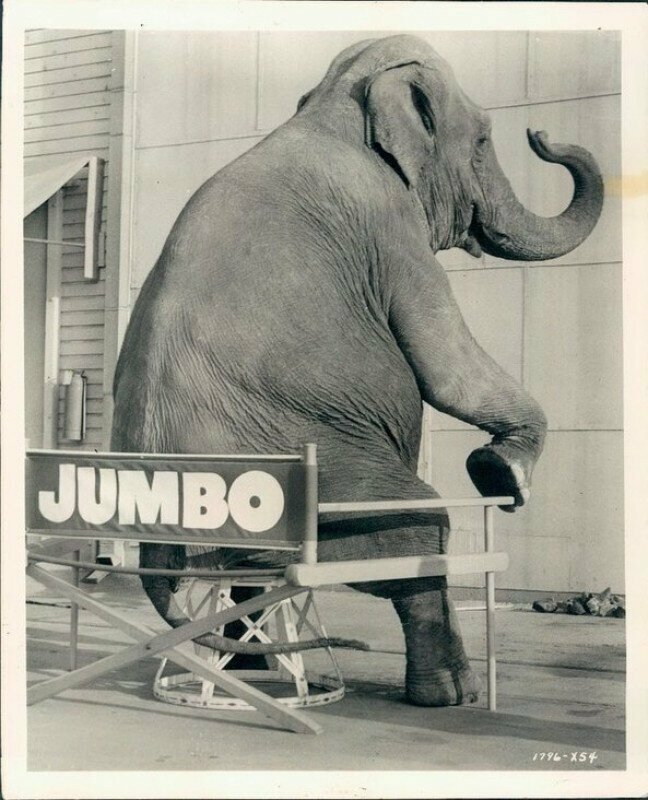 Во время съёмок фильма-мюзикла "Джамбо" на киностудии "Metro-Goldwyn-Mayer"; 1962-й год