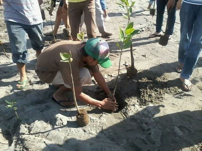 Чтобы получить высшее образование на Филиппинах студентам нужно посадить по 10 деревьев