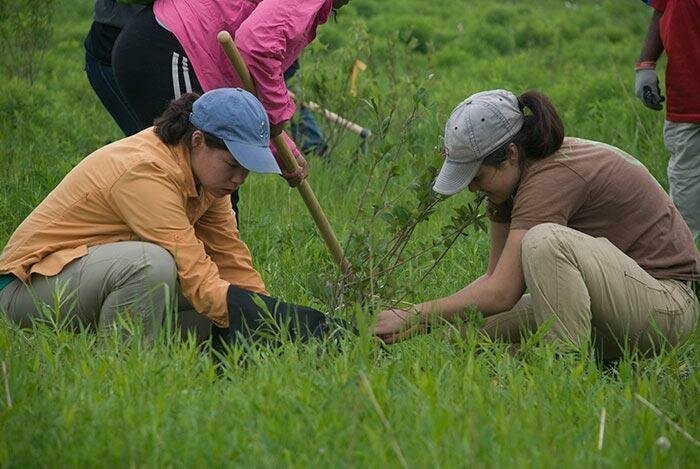 Чтобы получить высшее образование на Филиппинах студентам нужно посадить по 10 деревьев