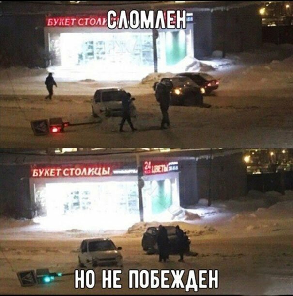 Прикольные и смешные картинки