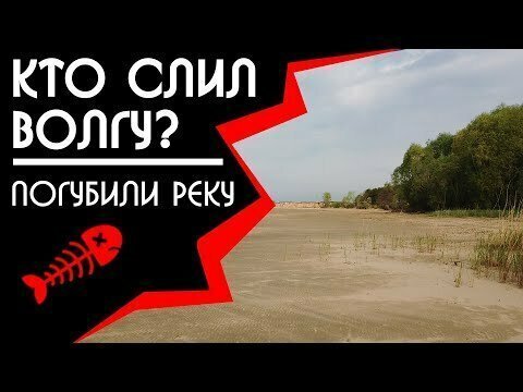 Почему обмелела волга? Полный масштаб бедствия. сми молчат! 