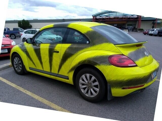 Volkswagen Beetle