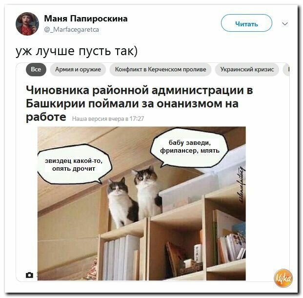 Политические картинки