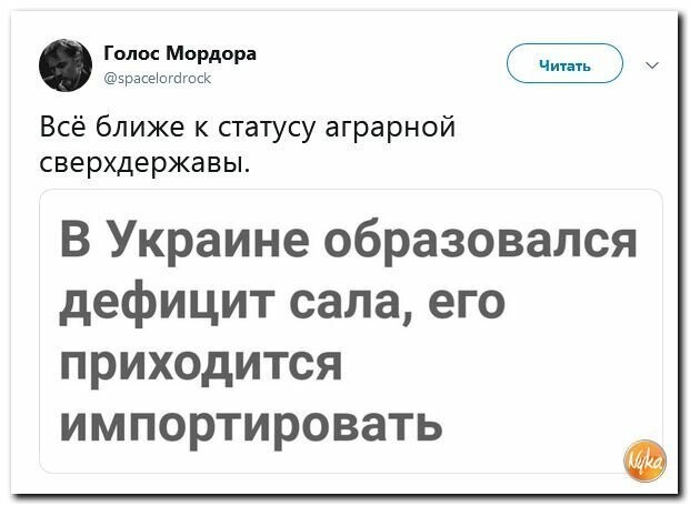 Политические картинки