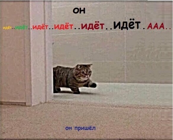 Котопост