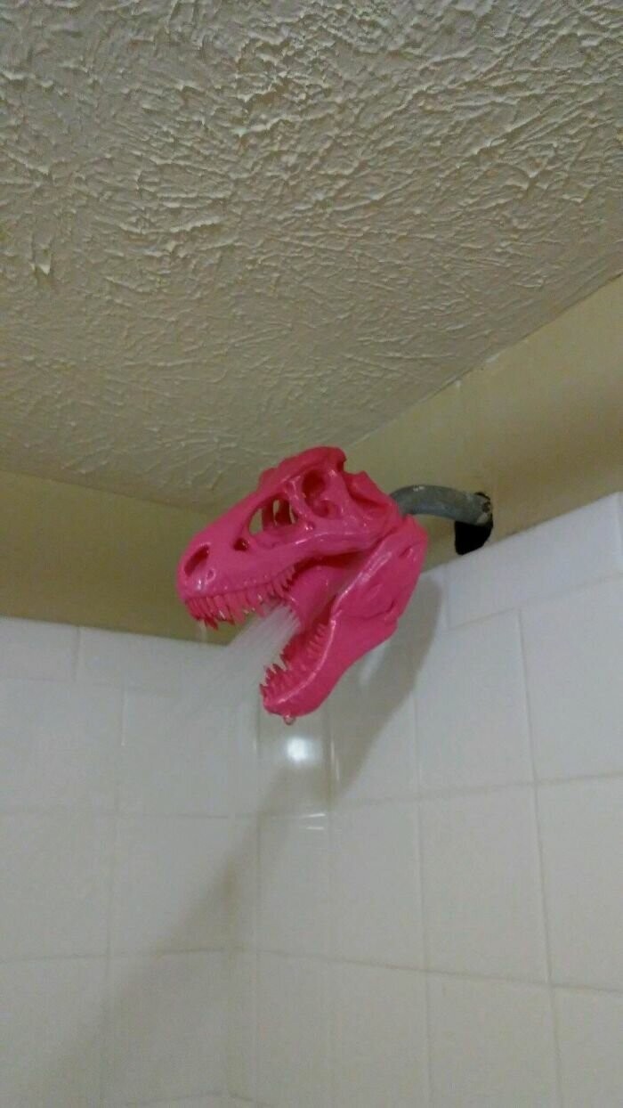 "Вернувшись в общежитие, я увидел, что мой сосед за 30 минут напечатал в 3D голову тиранозавра"