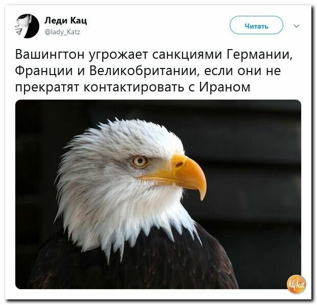 Политические картинки