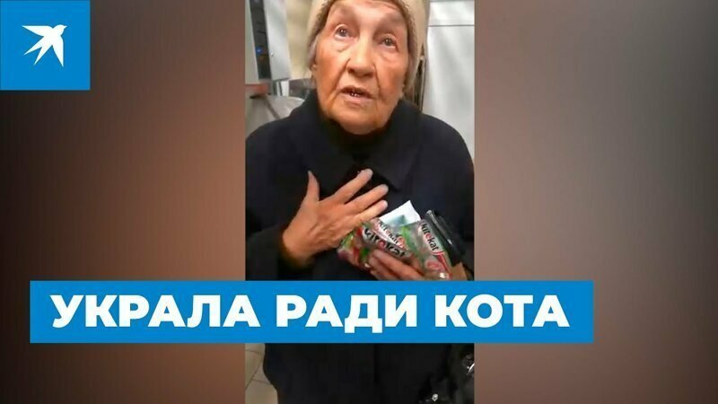 Пенсионерка пошла на кражу ради кота 