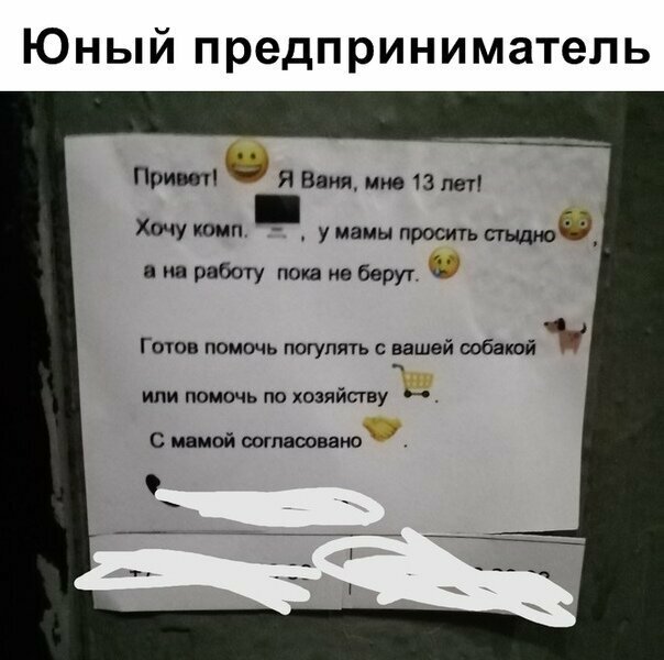 Прикольные и смешные картинки