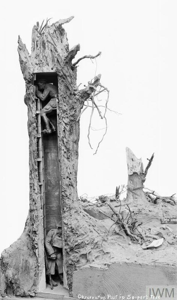 Поддельные деревья использовались в Первой мировой войне в качестве наблюдательных постов