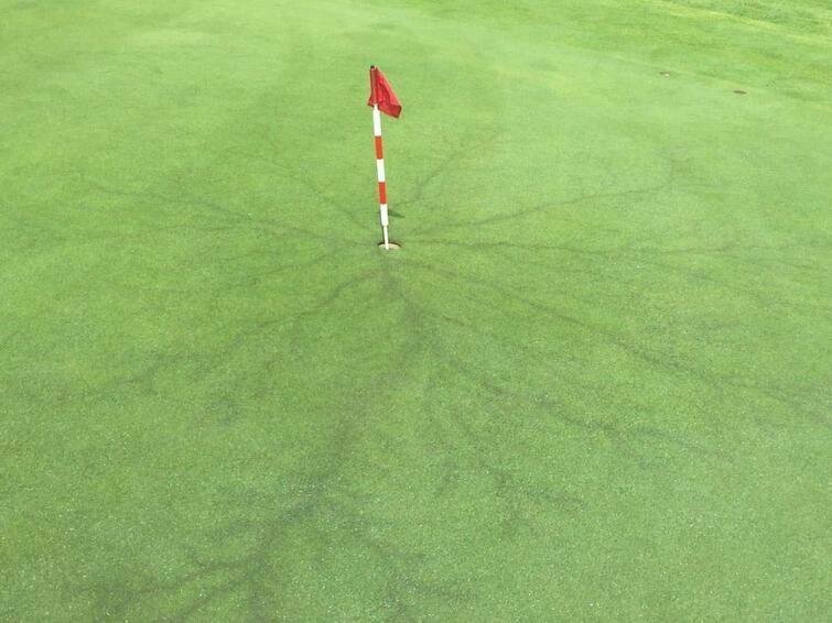 Молния ударила прямо в металлическую часть флажка для гольфа