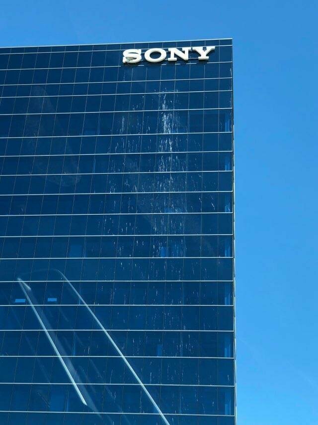 Какая-то птица свила гнездо на букве «S» в здании Sony