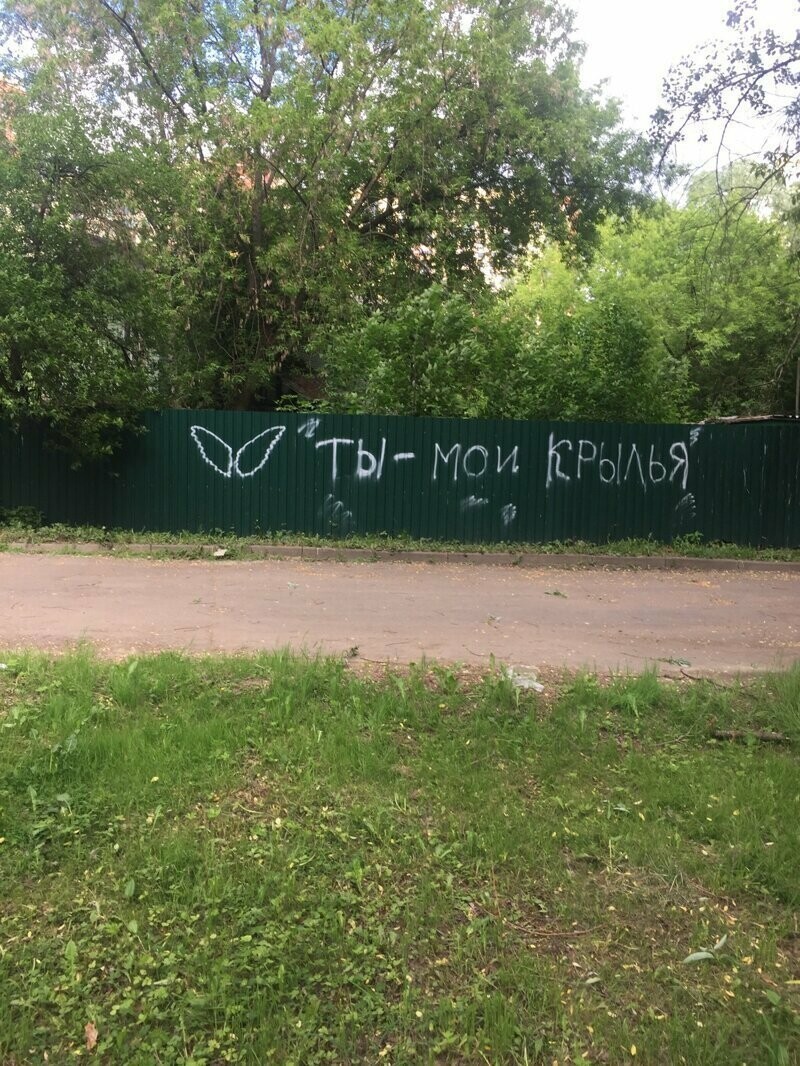 Асфальт, стены, заборы... Так пить или жить