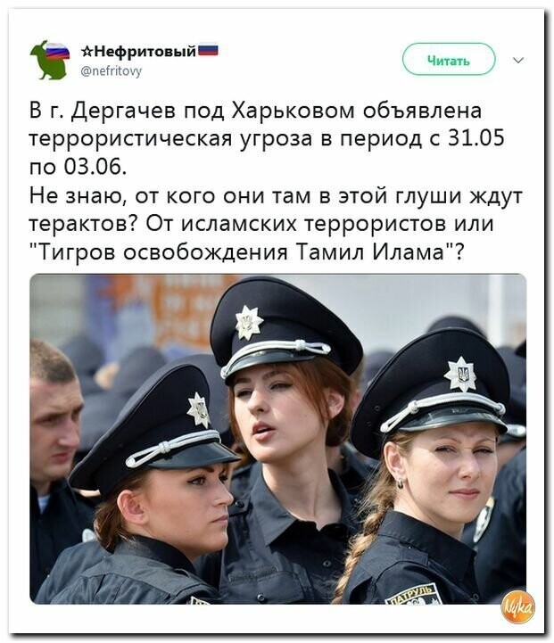 Политические картинки