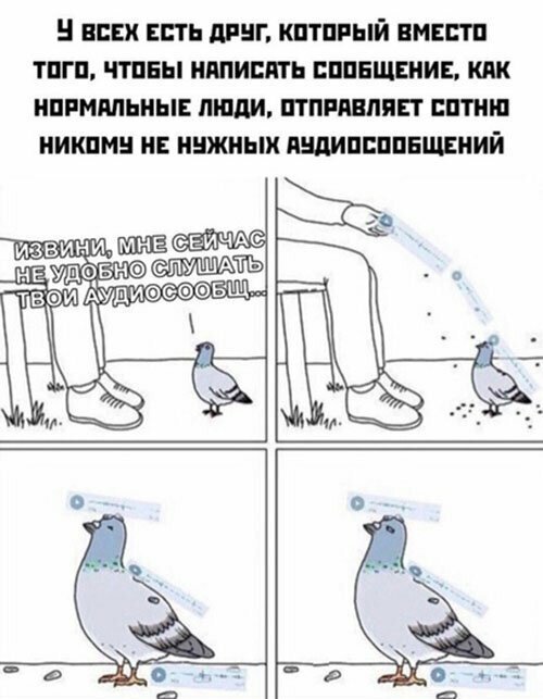 Прикольные и смешные картинки