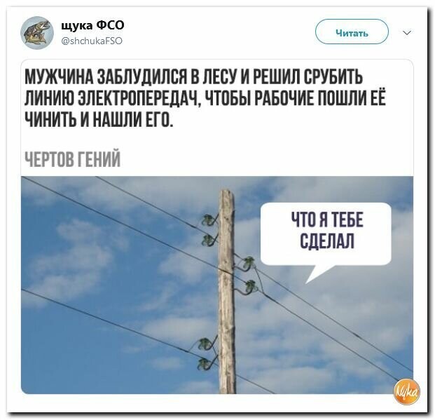 Политические картинки2