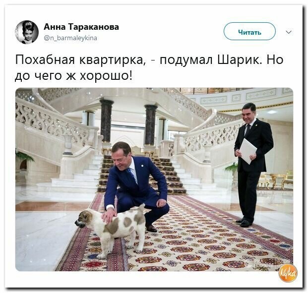 Политические картинки